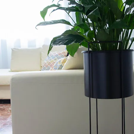 公寓 Acqua Di Sale *