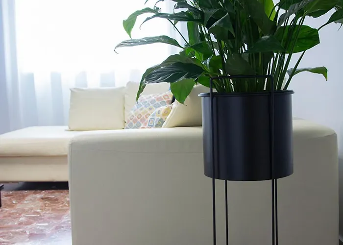 Apartment Acqua Di Sale *